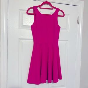 Bright Pink Fit and Flare Dress